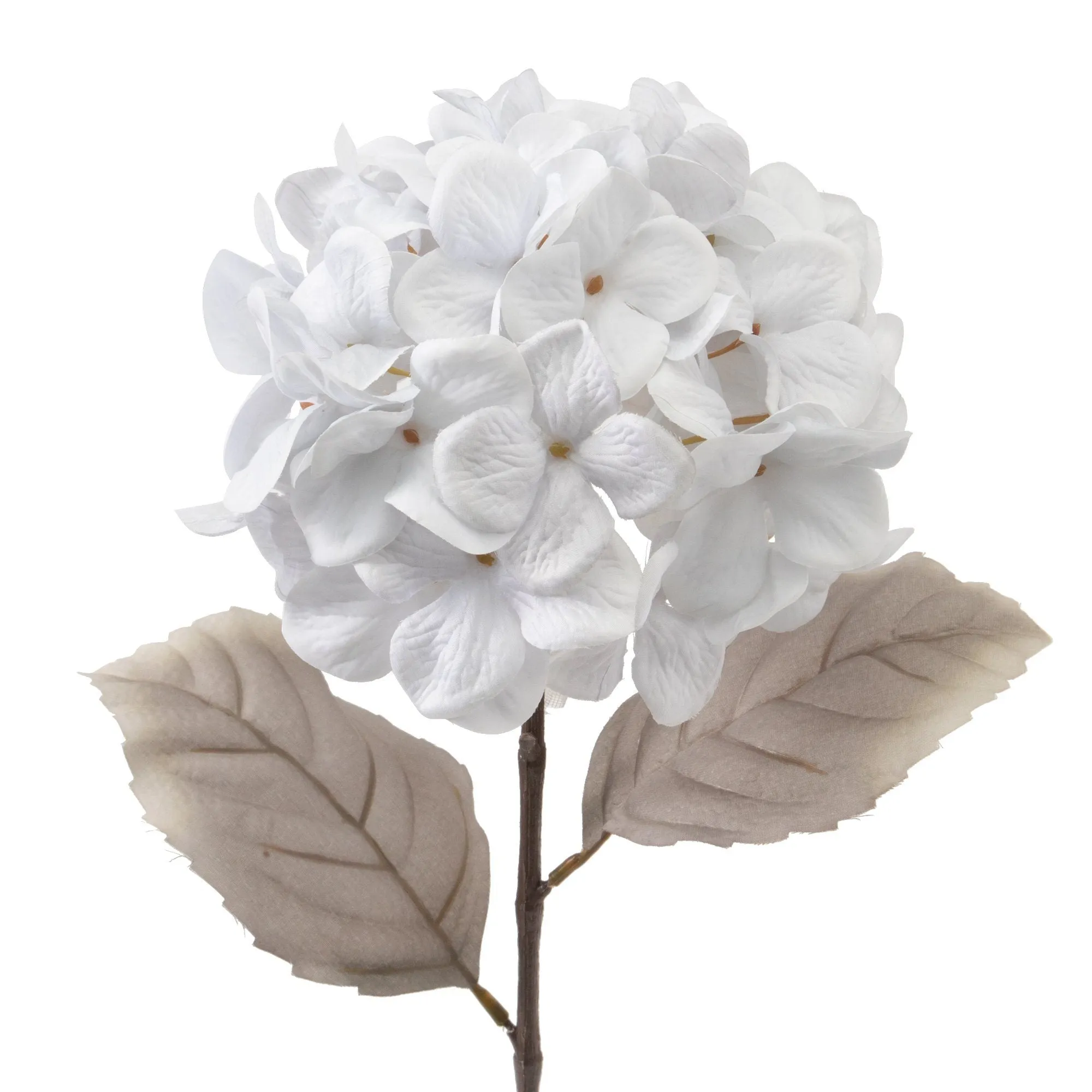 Art Flower Hydrangea White