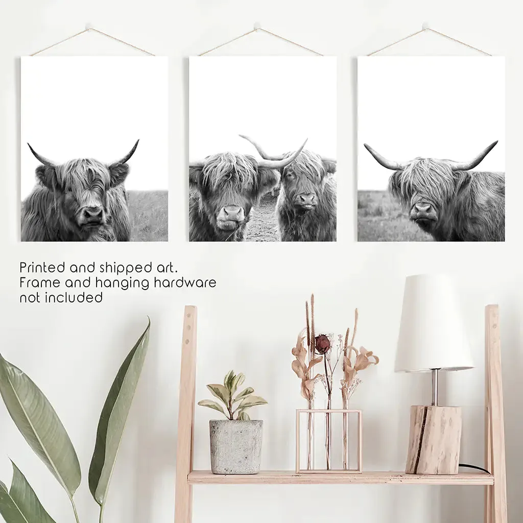 Black White Highland Cow Photo. 3 Piece Wall Art