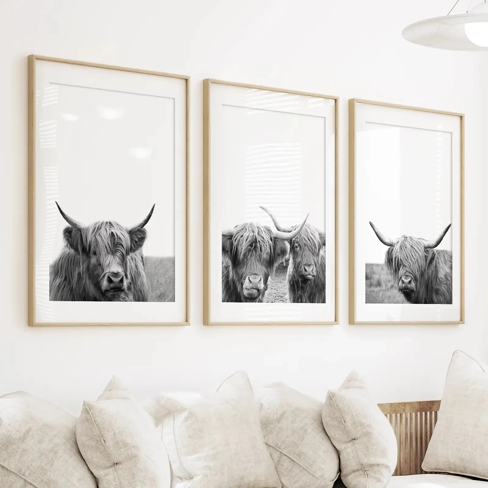 Black White Highland Cow Photo. 3 Piece Wall Art