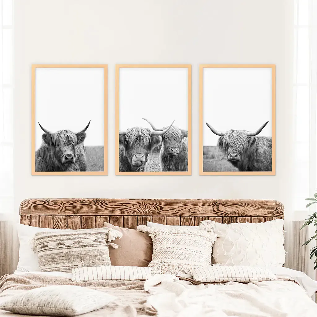 Black White Highland Cow Photo. 3 Piece Wall Art