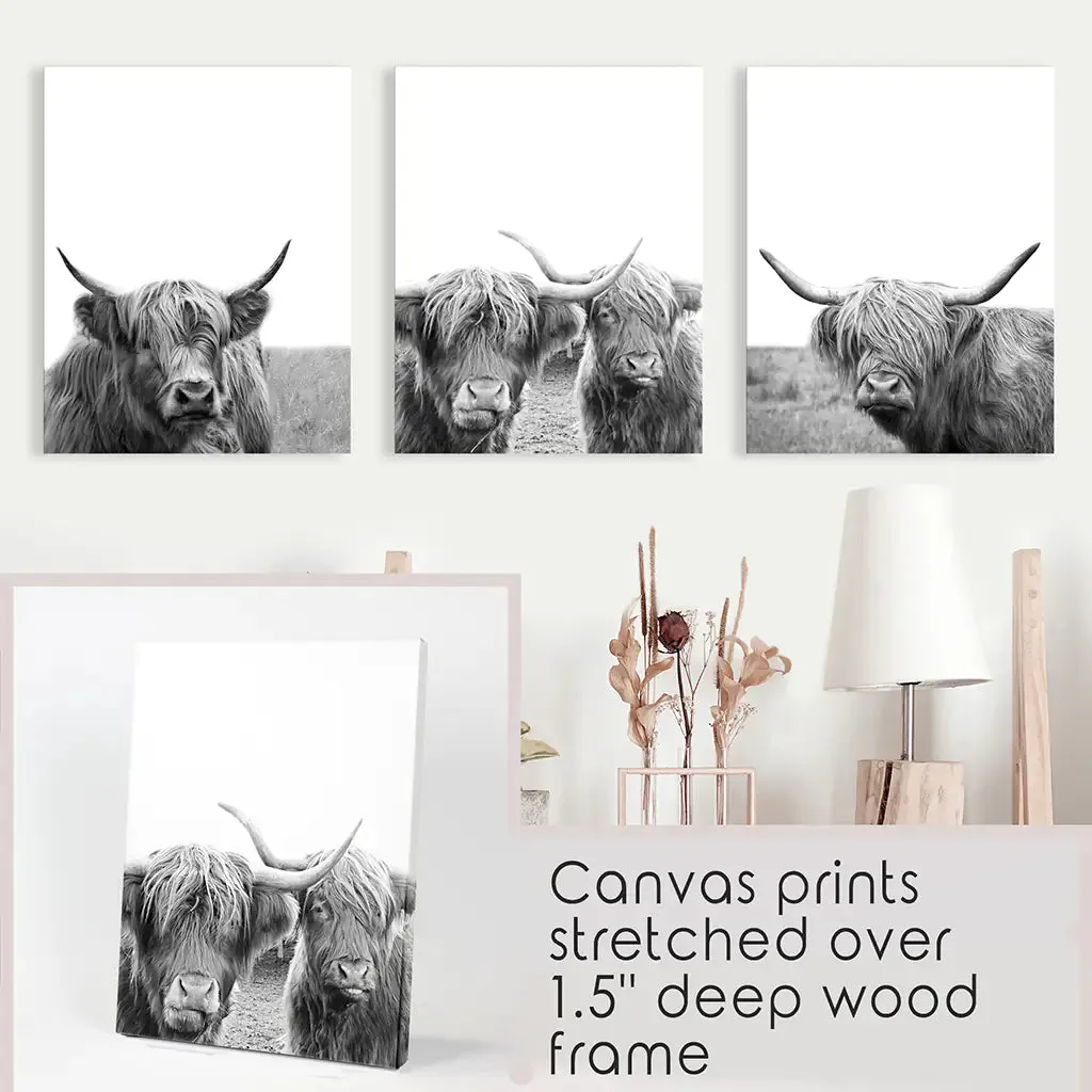 Black White Highland Cow Photo. 3 Piece Wall Art