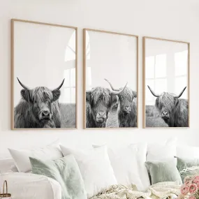 Black White Highland Cow Photo. 3 Piece Wall Art