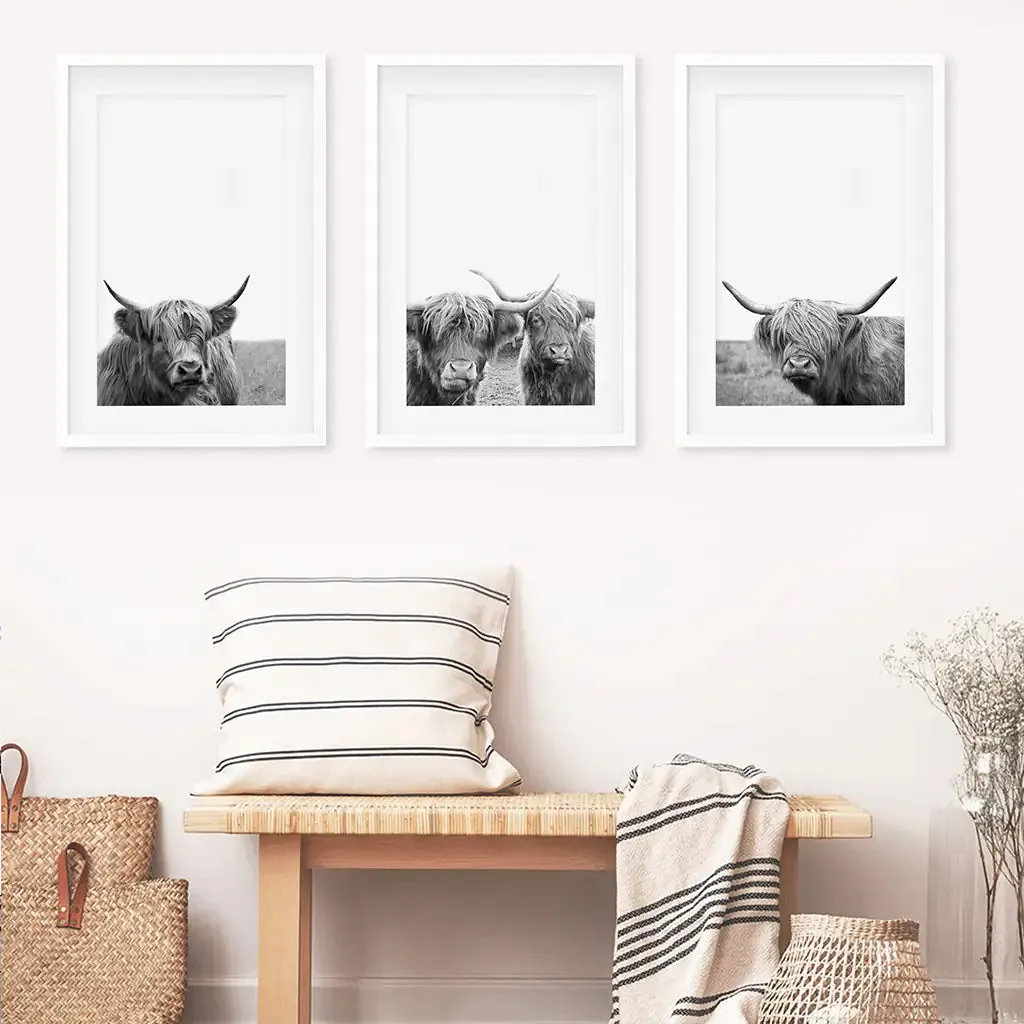 Black White Highland Cow Photo. 3 Piece Wall Art