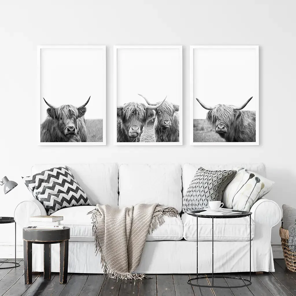 Black White Highland Cow Photo. 3 Piece Wall Art