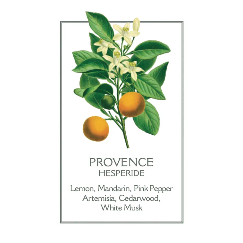 Panier De Sens - Provence Glass Marseille Liquid Soap