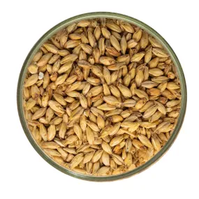 The Best Malt For Lager - Pilsen Malt