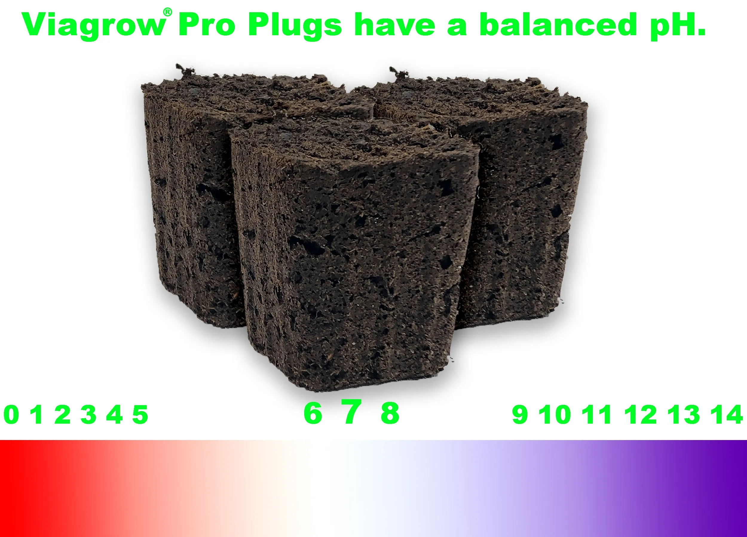 Viagrow 50-Site Pro Plug Seed Starter with Tray (EA)